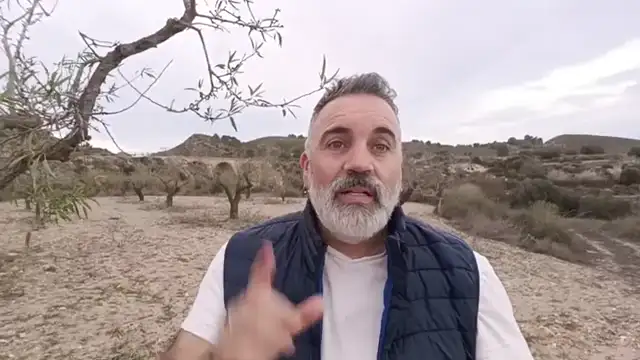 La educación en España